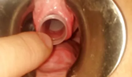 Kagney deutsche erotikfilme kostenlos ansehen Lynn Carter Interracial Gangbang