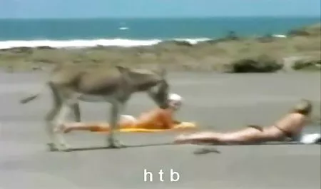 Geile ella Liebling rutscht aus, Höschen ziehen ihre Nylonbeine aus und deutsche erotik filme gratis wichst geile Fotze