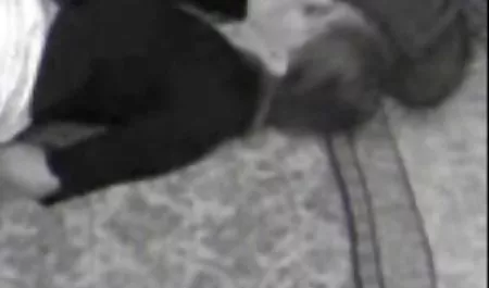 Lesbenshow auf der kostenfreie deutsche erotikfilme öffentlichen Bühne
